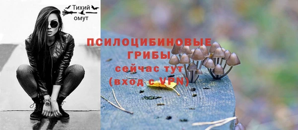 скорость Новозыбков