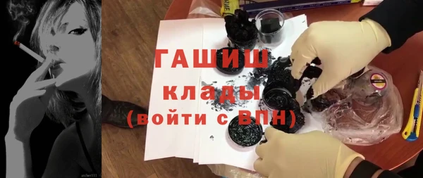 эйфоретик Няндома