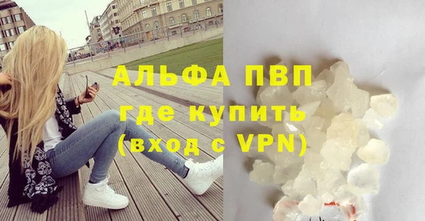 скорость Новозыбков