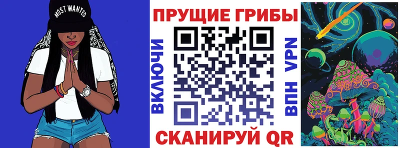 Псилоцибиновые грибы GOLDEN TEACHER сколько стоит мега сайт Балахна
