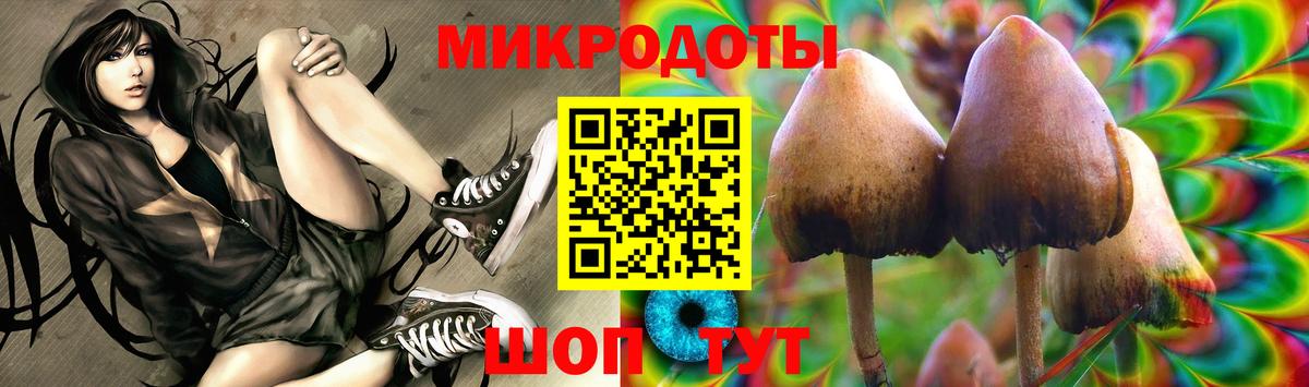 Галлюциногенные грибы Cubensis  Галлюциногенные грибы ЛСД  Балахна  Вход с VPN 